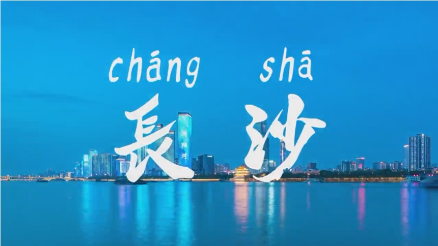 第十一个国家宪法日