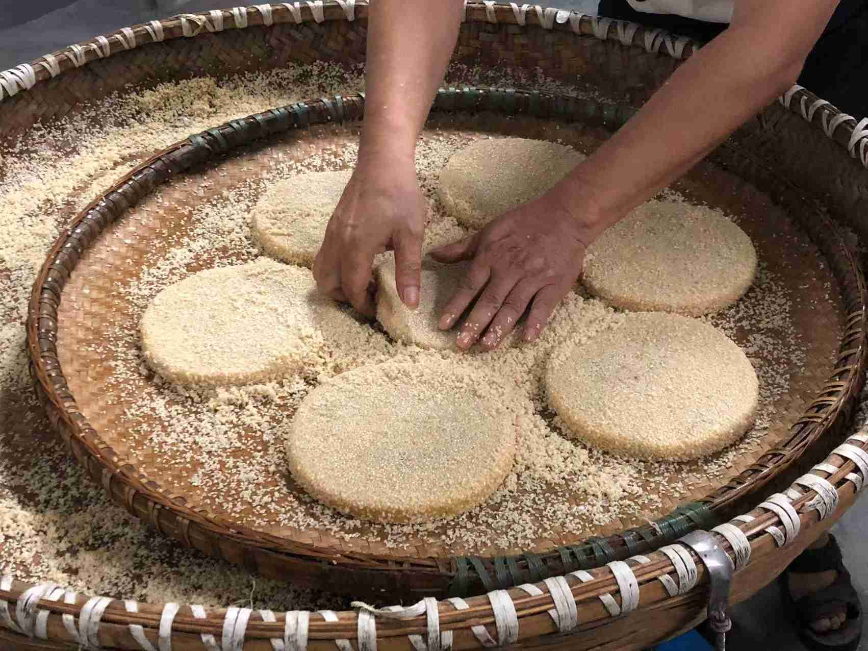 沾麻。谢语欣摄